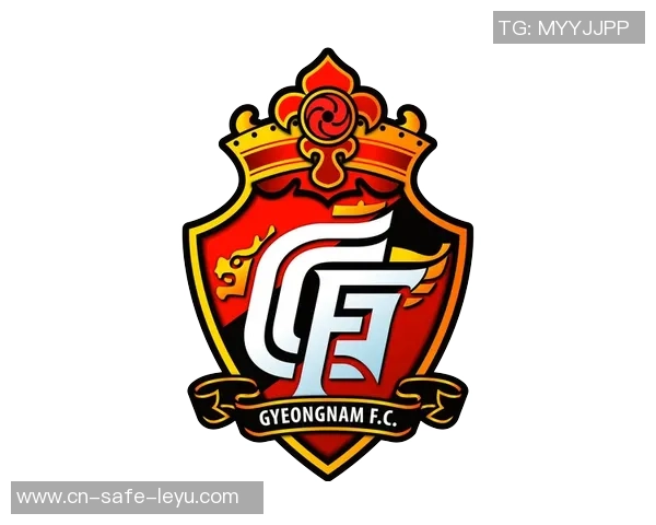 庆南足球俱乐部崛起之路探索与挑战的完美结合 庆南足球俱乐部崛起之路探索与挑战的完美结合